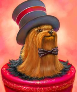 Yorkshire Terrier Stylish Dog Paint By Numbers