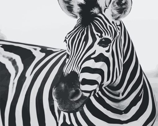 Zebra-Black-and-White-dult-paint-by-number