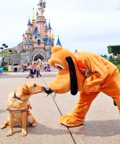 Dog and Pluto Adventure Paint By Numbers