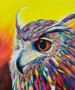 Rainbow Owl Colorful Paint By Numbers