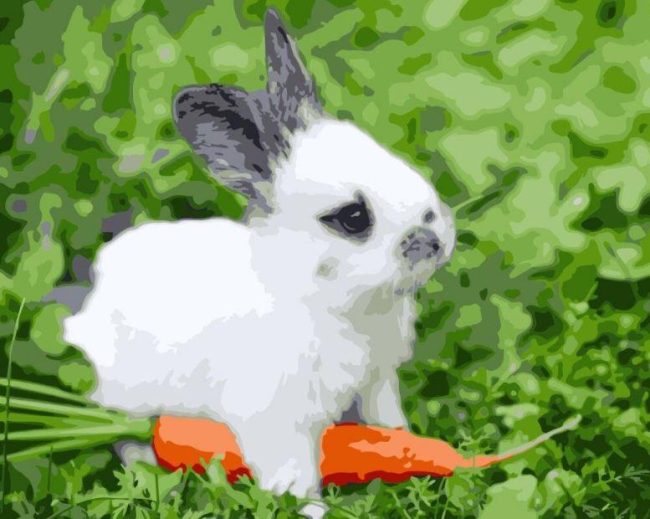 Cute Rabbit Painting Kit Paint By Numbers