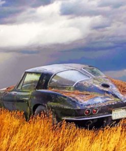 Abandoned Vintage Cars Paint By Numbers