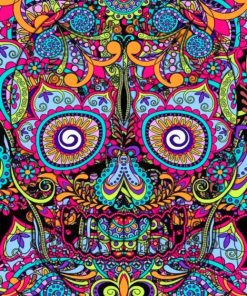 Abstract Colorful Skull Paint By Numbers