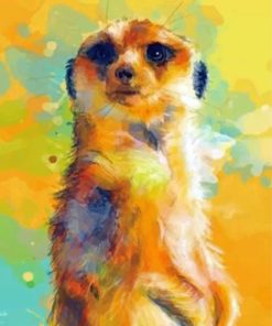 Abstract Meerkat Wildlife Paint By Numbers