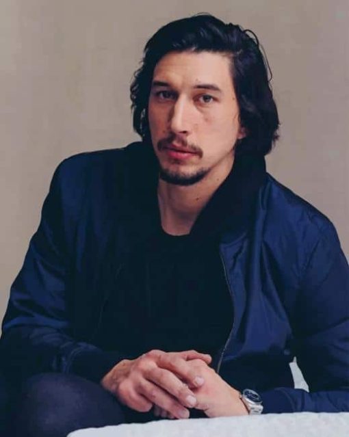 adam-driver-paint-by-number