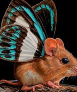Butterfly Mouse Fantasy Paint By Numbers