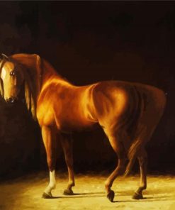 Aesthetic Abstract Horse Cat Paint By Numbers