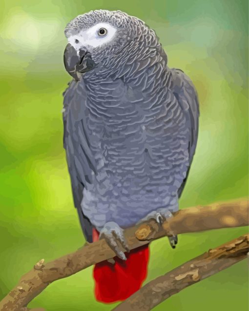 aesthetic-African-gray-parrot-paint-by-numbers-scaled