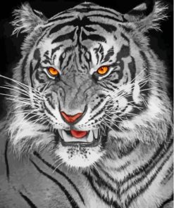 Aesthetic Black and White Tiger Paint By Numbers