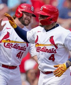 Aesthetic Cardinals Baseball Paint By Numbers