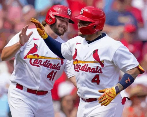 aesthetic-Cardinals-baseball-paint-by-number
