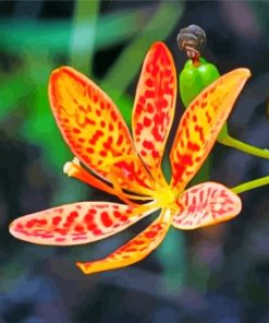 Aesthetic Leopard Flower Paint By Numbers