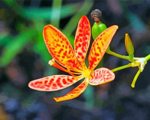aesthetic-Leopard-flower-paint-by-numbers