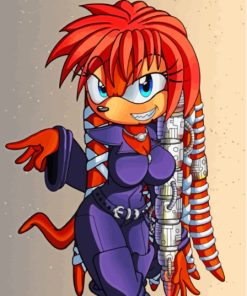 Aesthetic Lien Da Sonic The Hedgehog Paint By Numbers