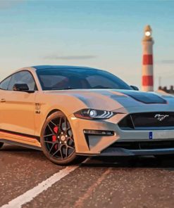 Aesthetic Mustang Mach 1 Car Paint By Numbers