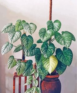 Aesthetic Monstera Paint By Numbers