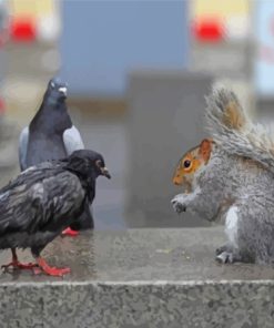 Aesthetic Squirrel and Bird Paint By Numbers