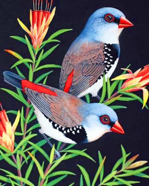 aesthetic-birds-paint-by-numbers-1