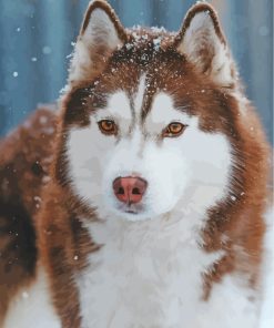 Aesthetic Brown Husky Paint By Numbers