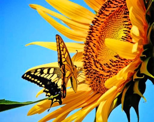 aesthetic-butterfly-and-flower-paint-by-numbers