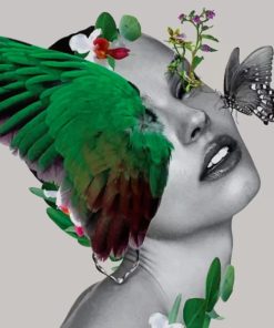 Aesthetic Butterfly Woman Paint By Numbers