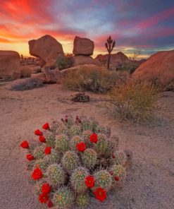 Aesthetic Cactus Sunset Paint By Numbers