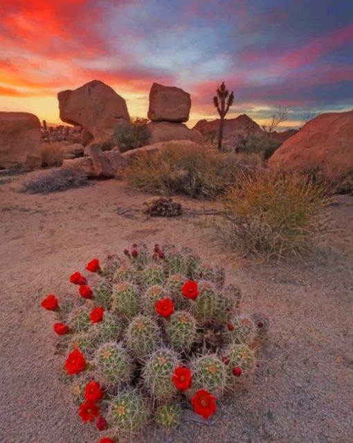 aesthetic-cactus-plants-paint-by-numbers