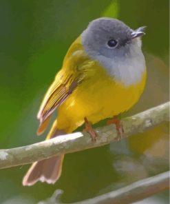 Aesthetic Canary Art Paint By Numbers