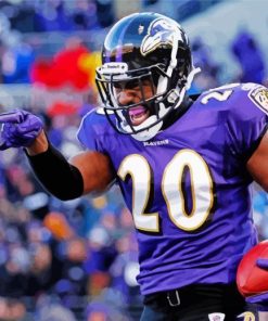Aesthetic Ed Reed Football Legend Paint By Numbers
