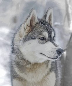 Aesthetic Husky Snow Dogs Paint By Numbers