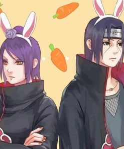 Itachi and Konan Aesthetic Paint By Numbers
