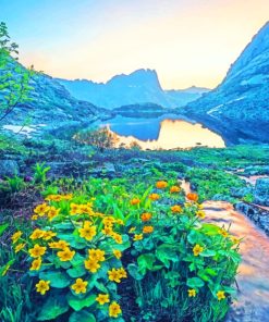 Aesthetic Nature Landscape Paint By Numbers