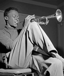 Aesthetic Miles Davis Black White Paint By Numbers