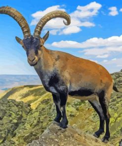 Aesthetic Mountain Goat Paint By Numbers