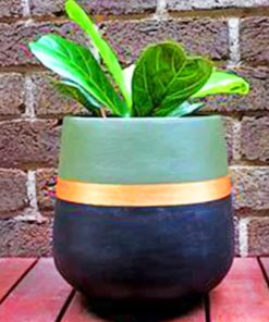 Aesthetic Plant Pots Paint By Numbers