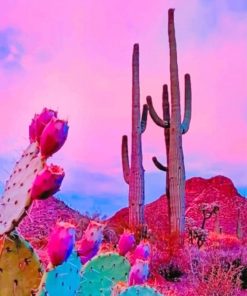 Desert Sky Cactus Paint By Numbers