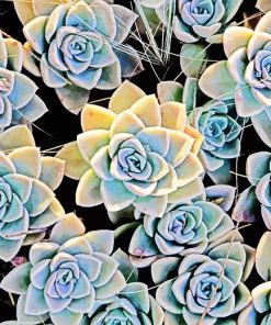 Green Succulent Art Paint By Numbers