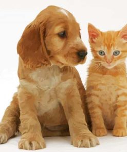 Aesthetic Tabby Kitten and Spaniel Paint By Numbers