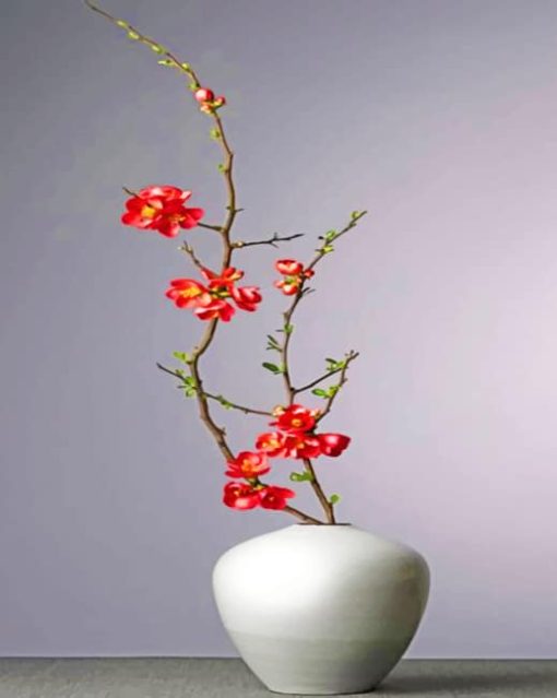 aesthetic-white-vase-with-red-flowers-paint-by-numbers