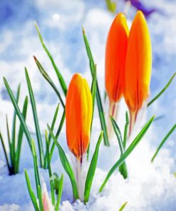 "Yellow Spring Flower In Snow Paint By Numbers"