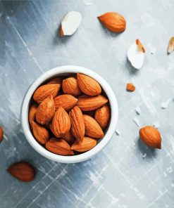 Almond Nuts Grey Palette Paint By Numbers