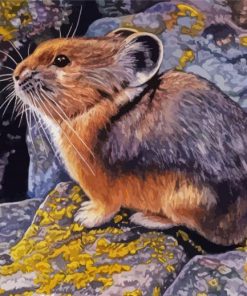 American Pika Wildlife Paint By Numbers
