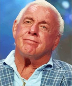Iconic Ric Flair Paint By Numbers