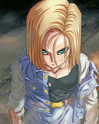 Dragon Ball Z Android 18 Paint By Numbers