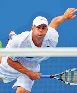 Andy Roddick Tennis Star Paint By Numbers