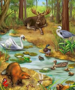 Wildlife Adventure Paint By Numbers