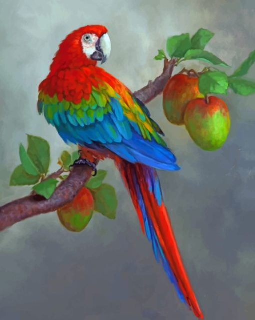 apples-and-parrot-paint-by-number-1