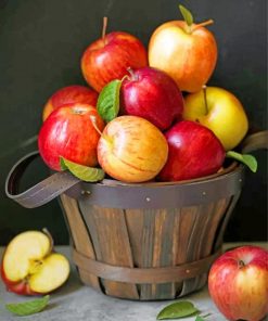 Red Apple Paint By Numbers