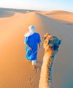 Desert Camels Paint By Numbers