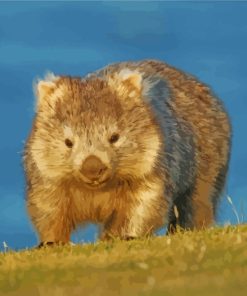 Australian Wombat Animals Paint By Numbers
